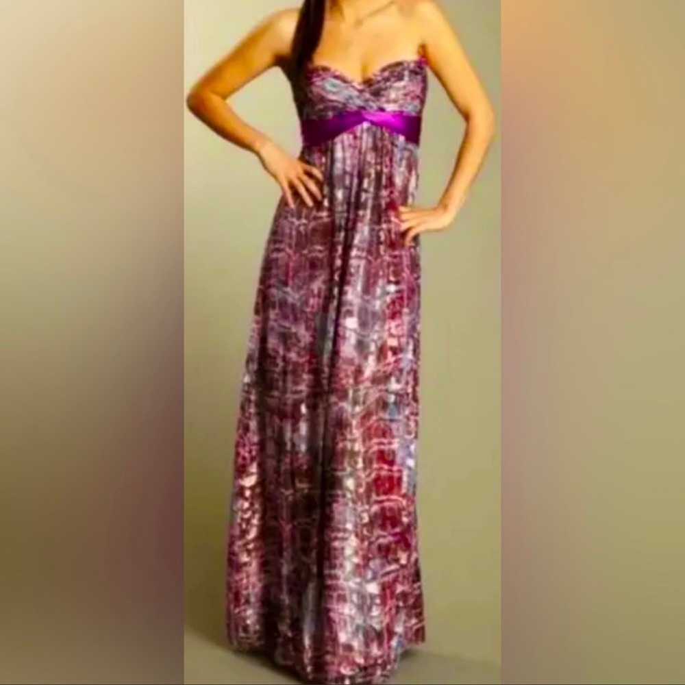 BCBG Maxazria silk, violet, metallic gown